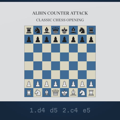 Video: the Albin Countergambit played move by move on a chessboard that wraps into the mug